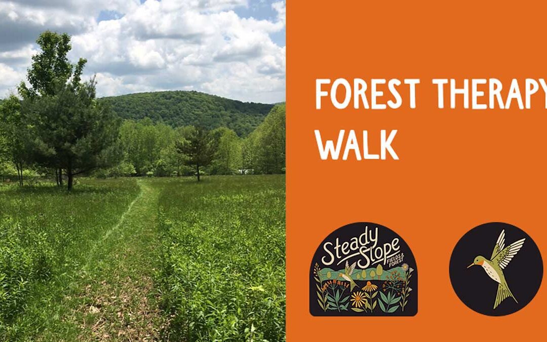 FOREST THERAPY WALK – 2024